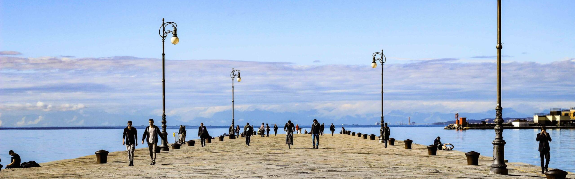 Trieste Quantum Image